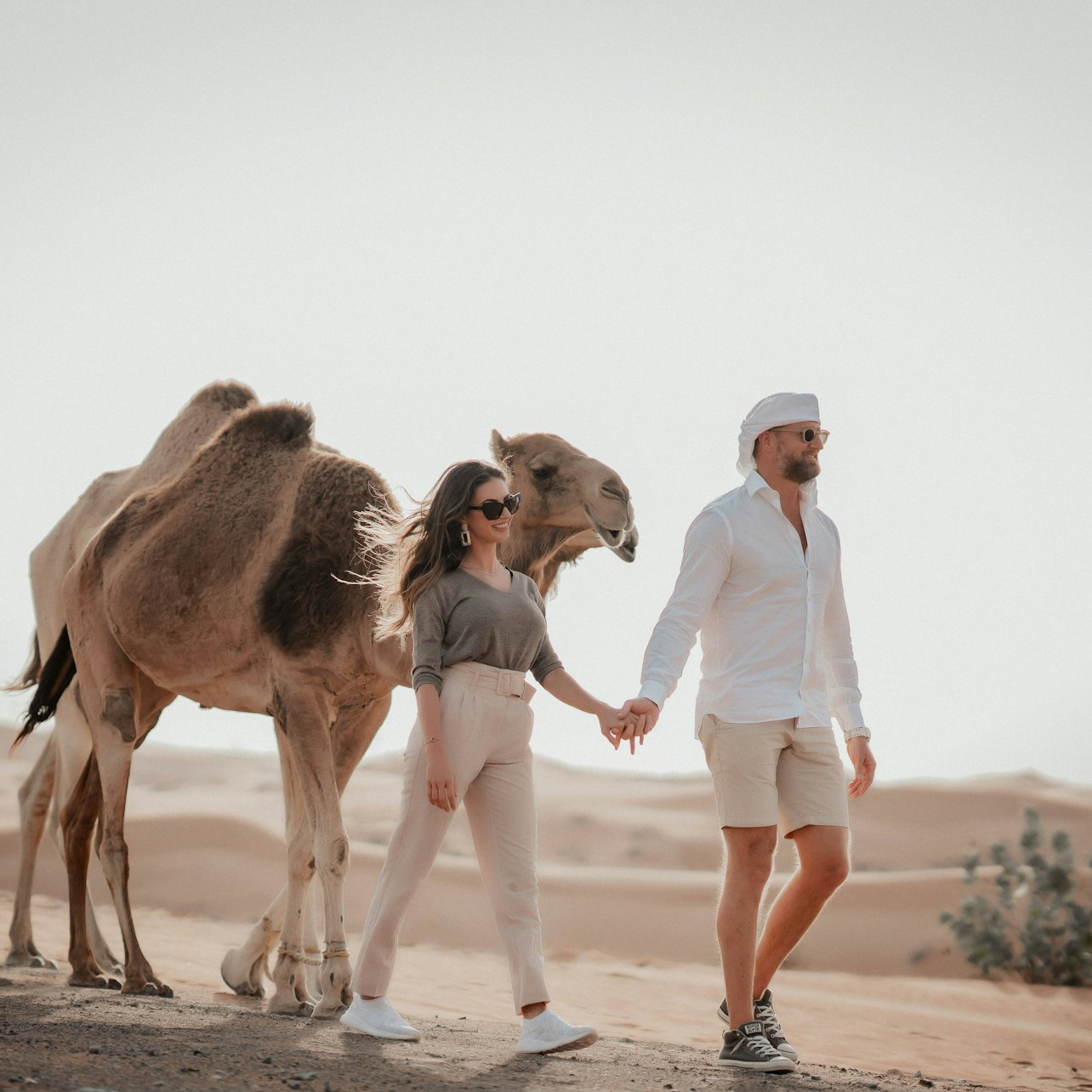 Experience the serene beauty of Dubai’s desert with a camel ride through stunning dunes and the excitement of sandboarding creating unforgettable memories in an extraordinary landscape.